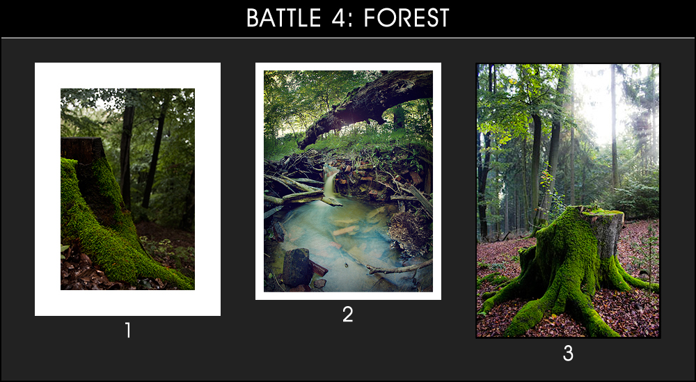 Battle 4: Forest