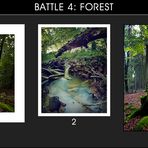 Battle 4: Forest