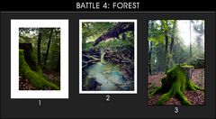 Battle 4: Forest