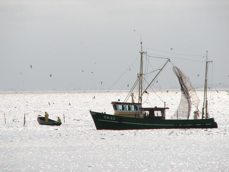 Battuta di pesca nel mare del nord