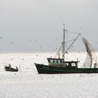 Battuta di pesca nel mare del nord