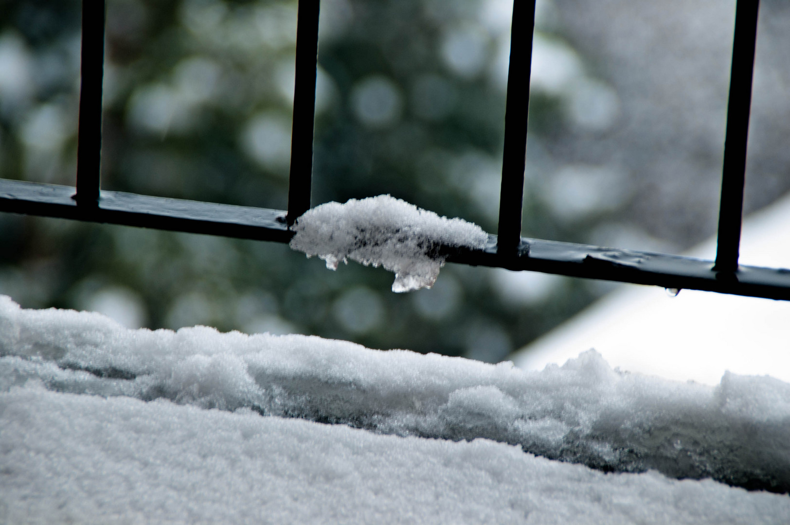 Batuffolo di neve