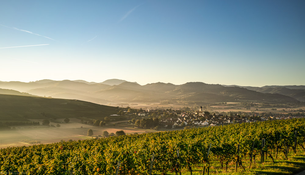 Batzenberg am Morgen