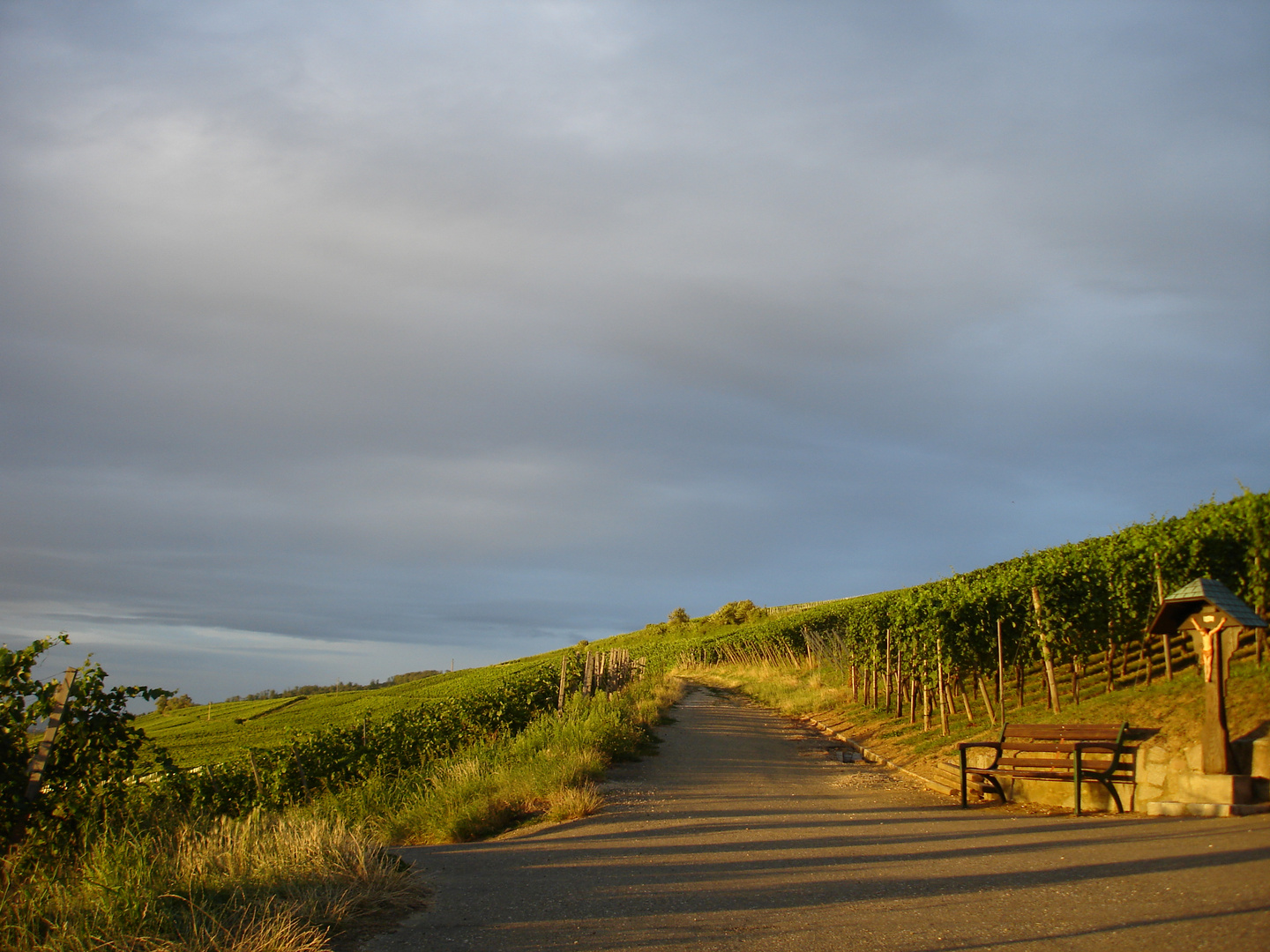 Batzenberg bei Sonnenuntergang