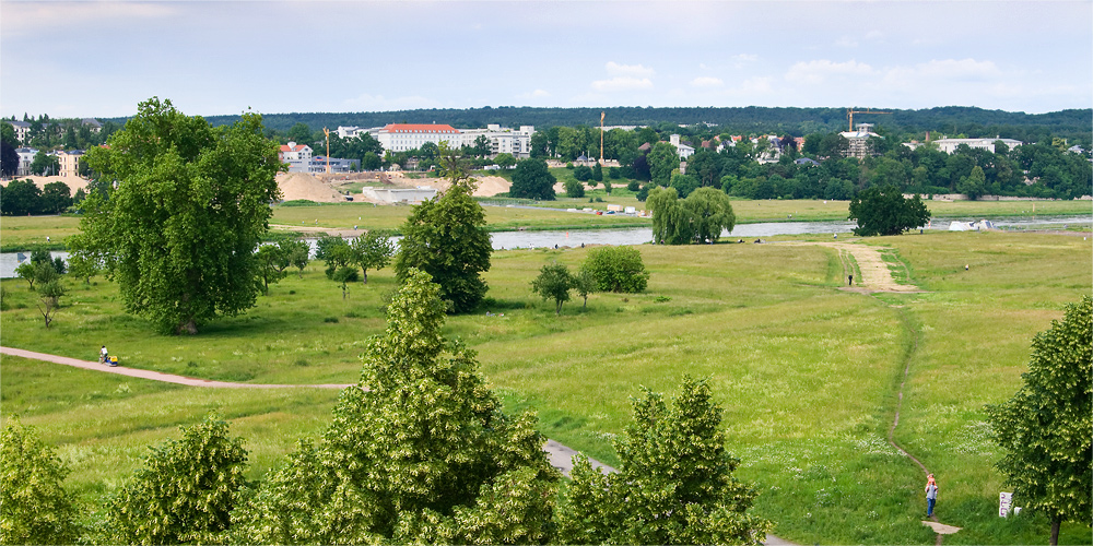 Bau der Waldschlösschenbrücke