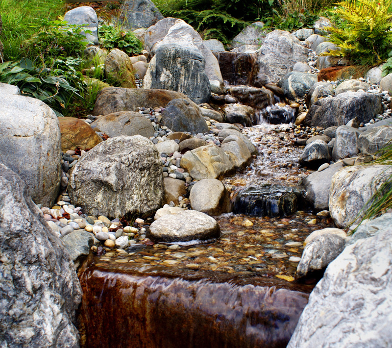 Bau Japanischer Garten Föckelberg