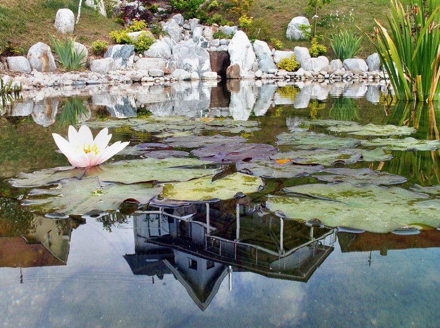 Bau Japanischer Garten Föckelberg