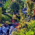 Bau Japanischer Garten Föckelberg