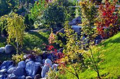 Bau Japanischer Garten Föckelberg