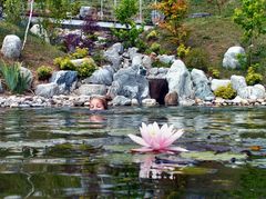 Bau Japanischer Garten Föckelberg