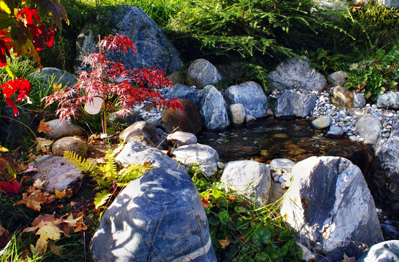 Bau Japanischer Garten Föckelberg