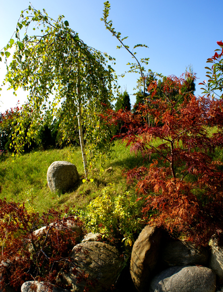 Bau Japanischer Garten Föckelberg