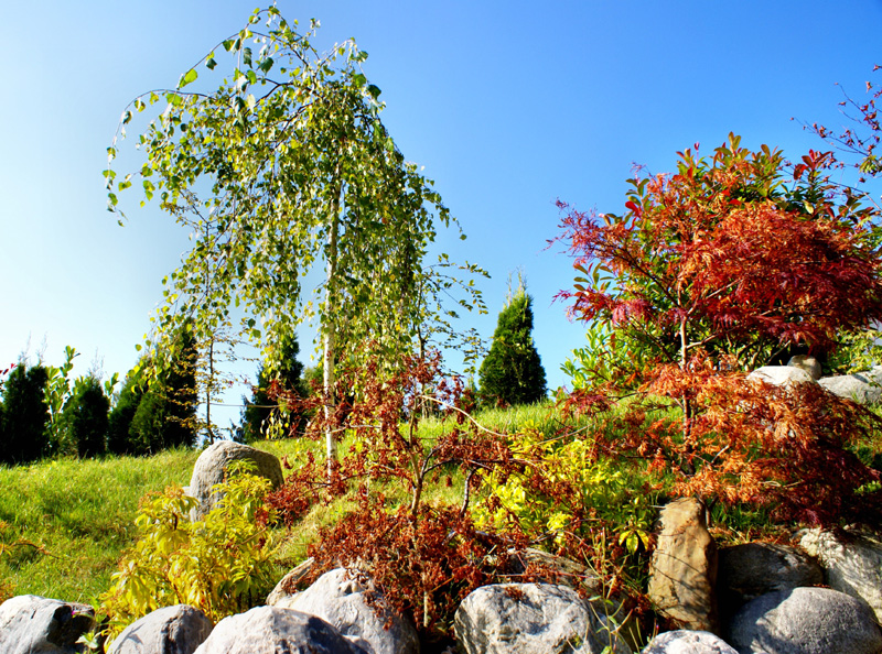 Bau Japanischer Garten Föckelberg