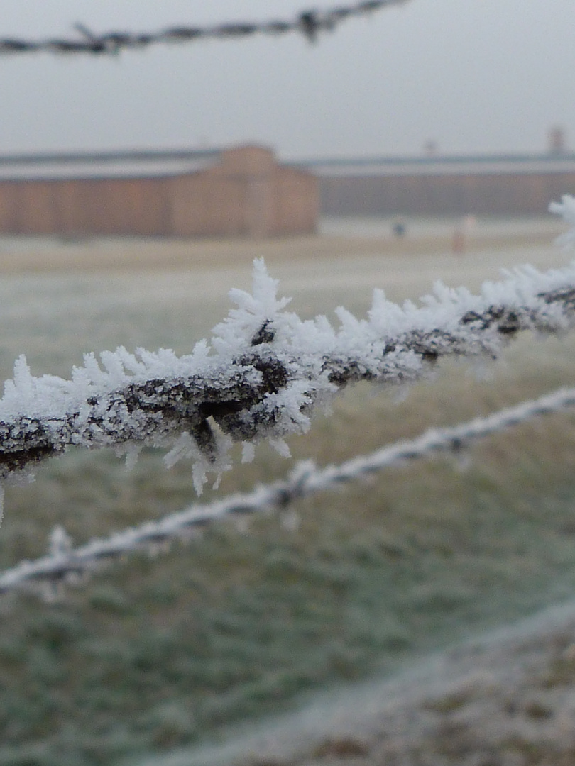 Bauabschnitt BIIa in Birkenau