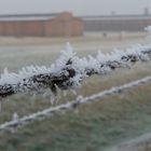 Bauabschnitt BIIa in Birkenau