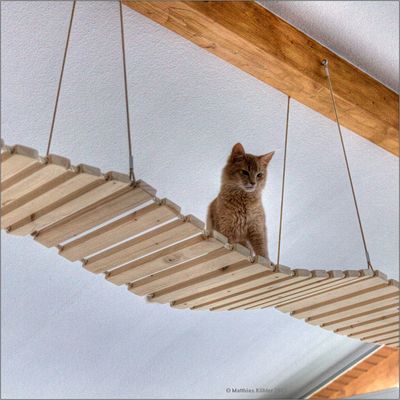 Bauanleitung für eine (Katzen-)Hängebrücke (3 Teile)