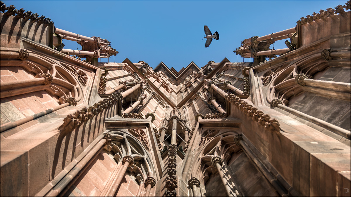 Bauarbeiten am Dom