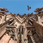 Bauarbeiten am Dom