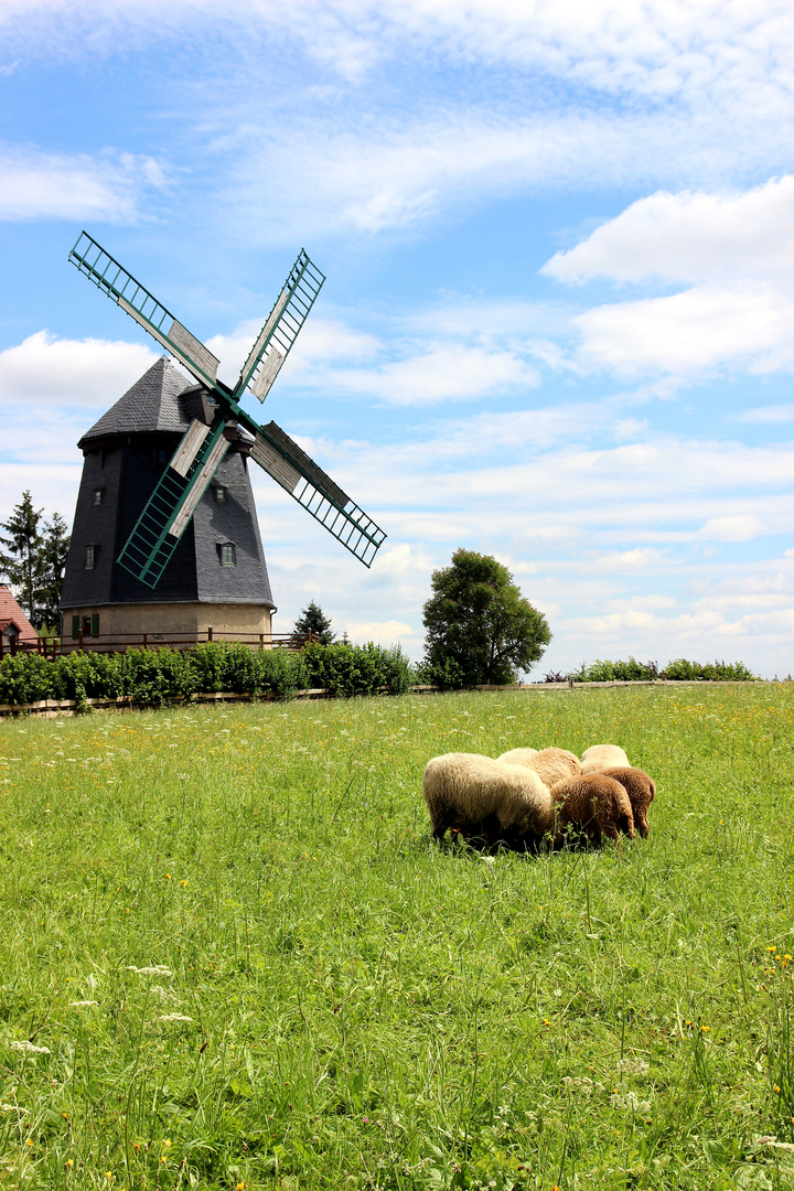 Baudenkmal Knapp-Mühle