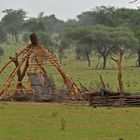 Bauen mit natürlichen Materialien (3)