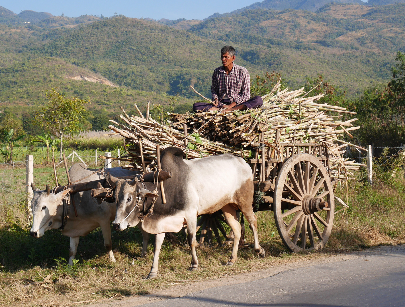 Bauer 2018 am Inle-See