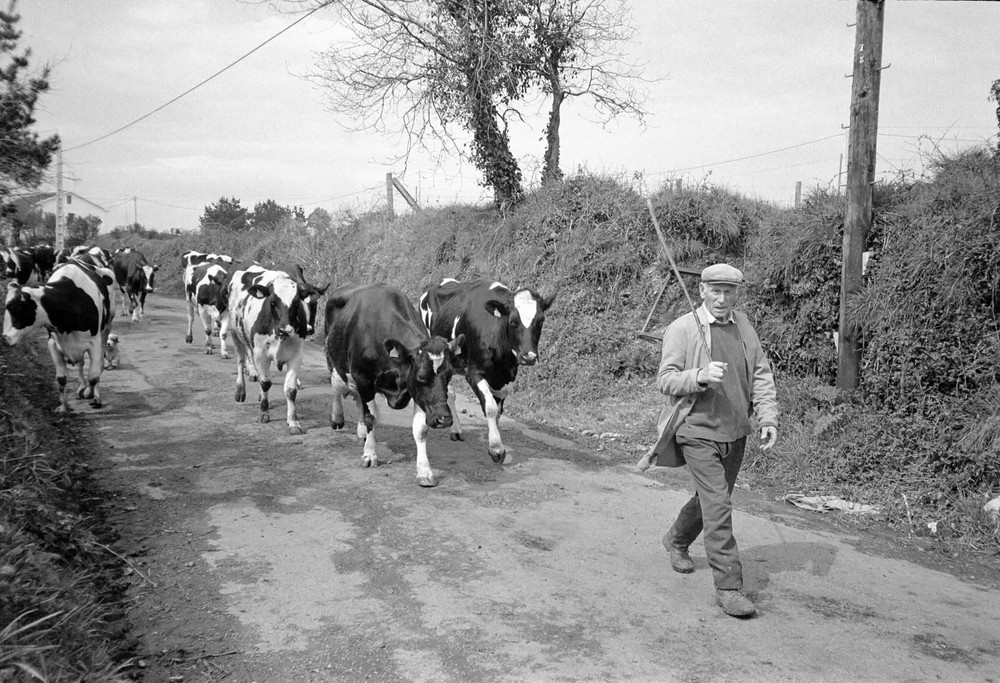 Bauer auf dem Camino