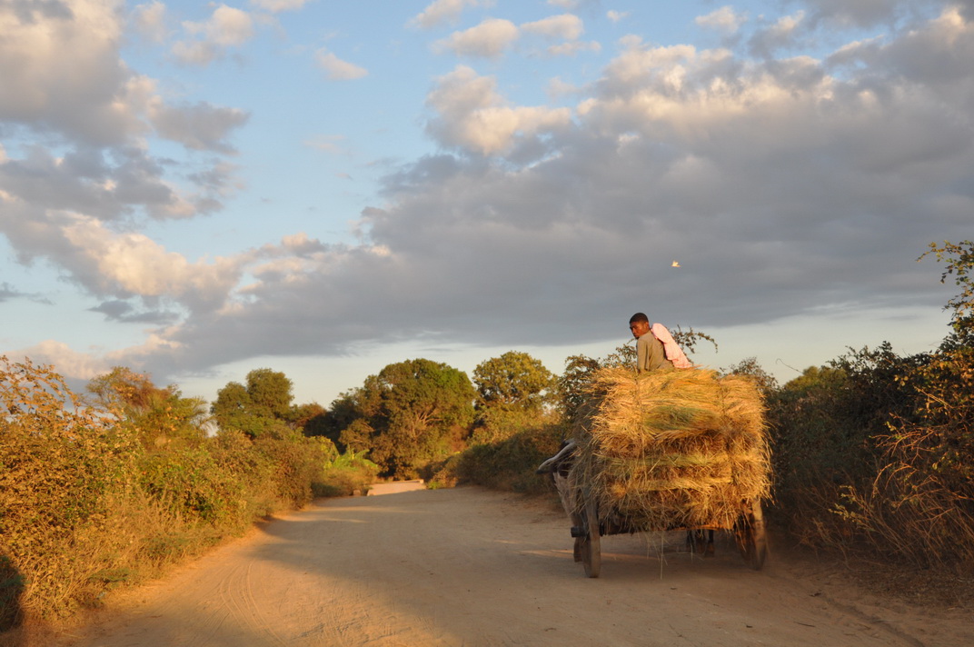 Bauer auf dem Land Madagaskar