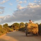 Bauer auf dem Land Madagaskar