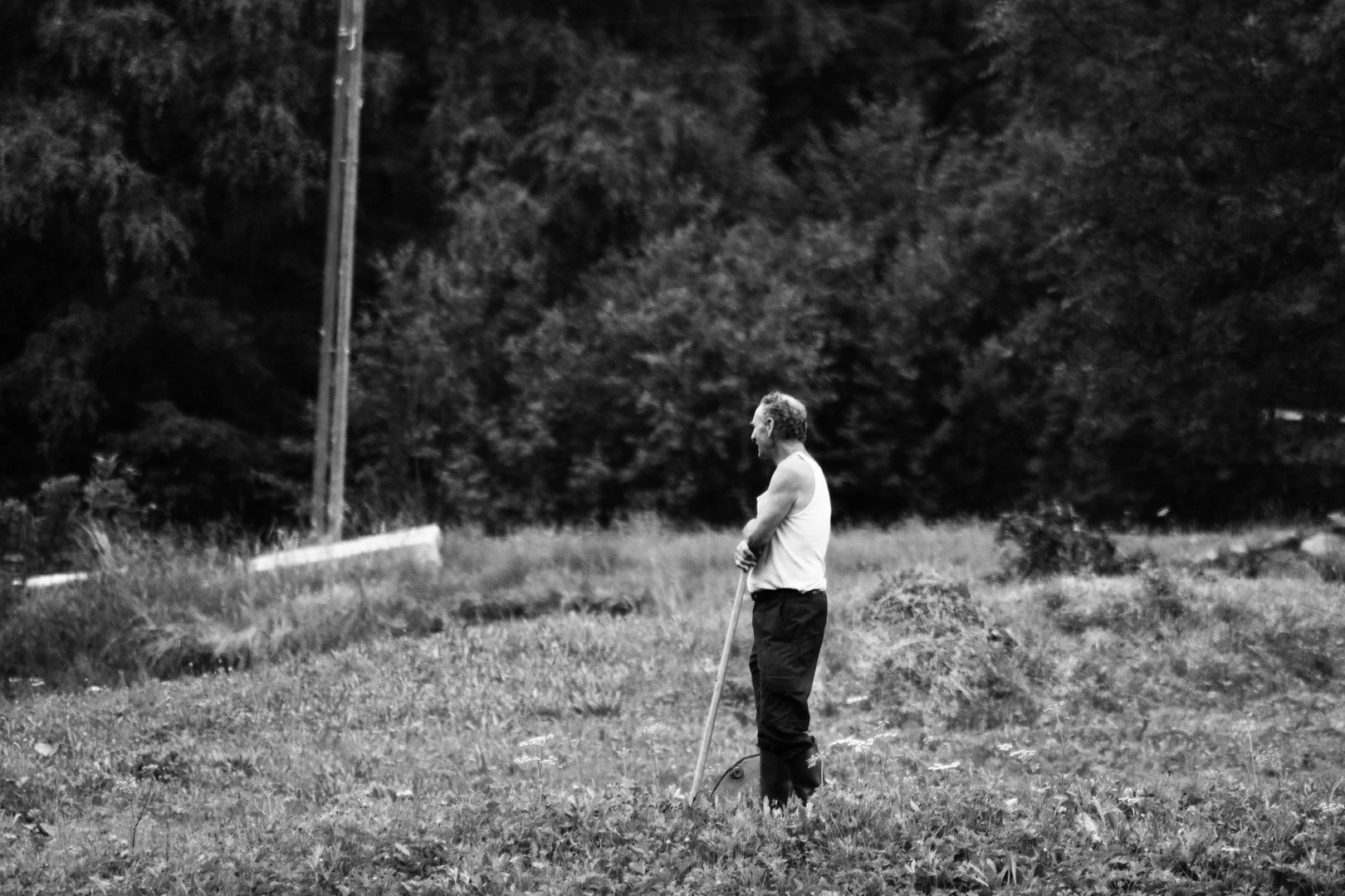 Bauer auf seinem Feld