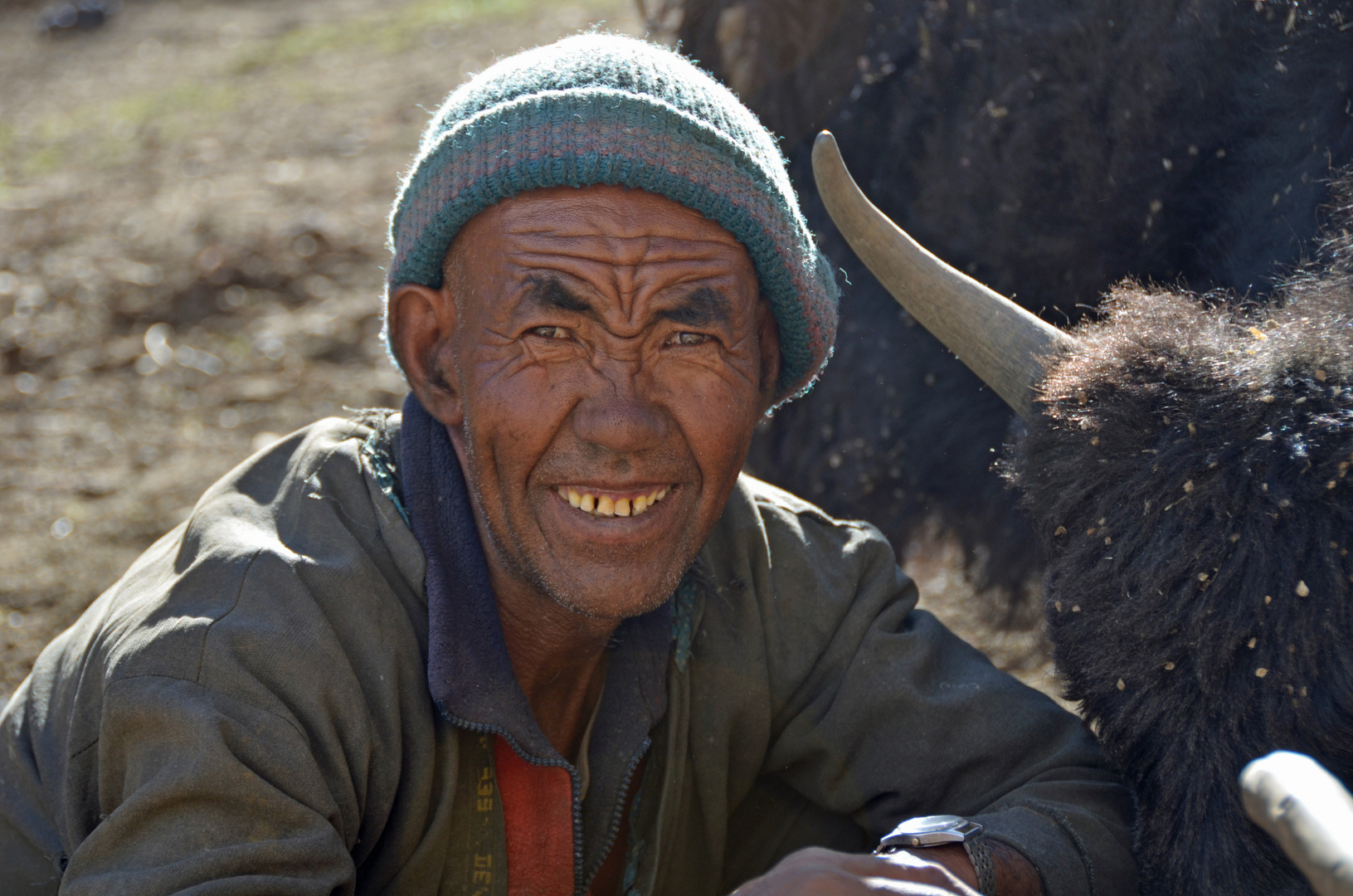 Bauer aus Dibling, Zanskar, Indien