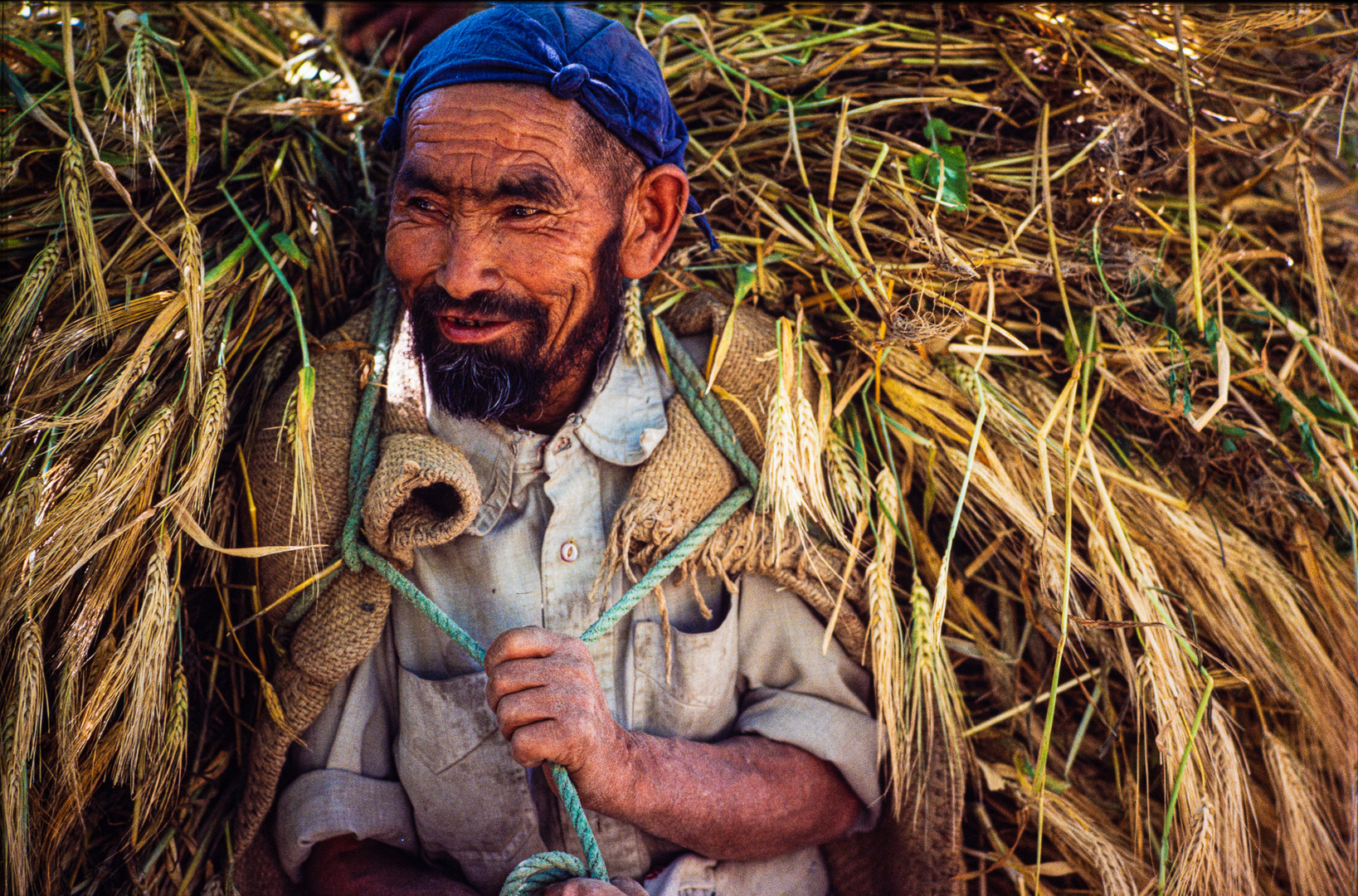 Bauer, Baltistan, Nordpakistan