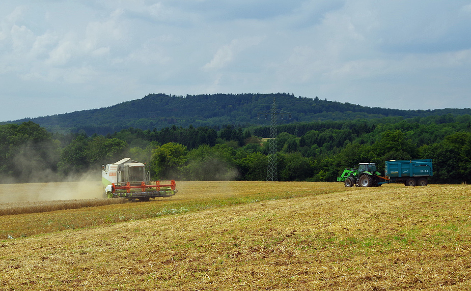 Bauer bei der Ernte