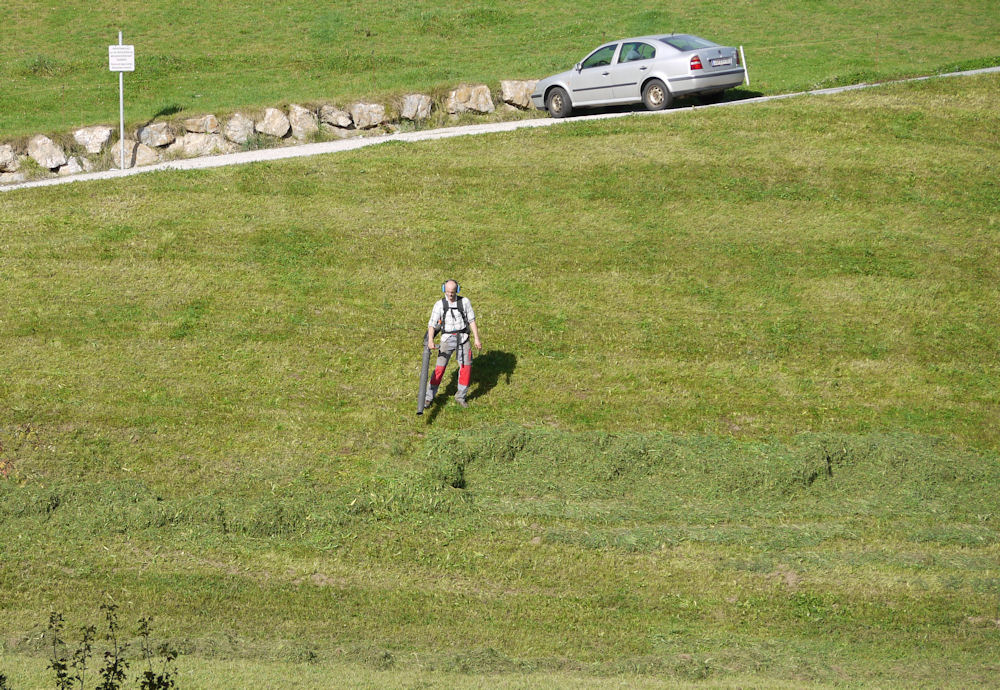 Bauer bei der Heuernte