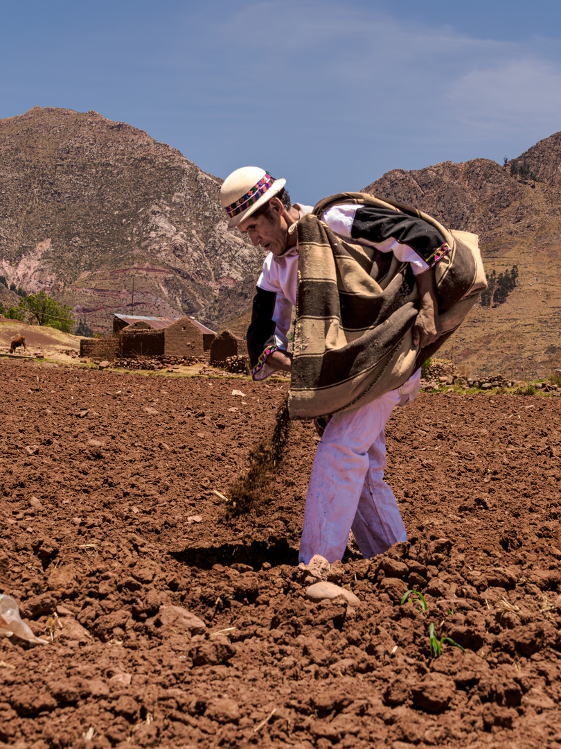 Bauer im Hochland Boliviens