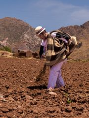 Bauer im Hochland Boliviens