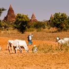 Bauer in Bagan