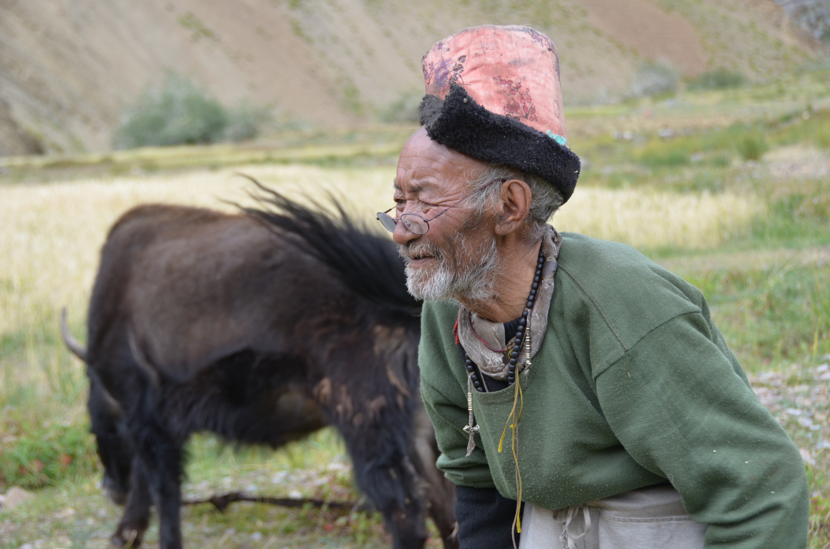 Bauer in Dibling, Zanskar