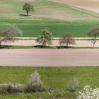 "Bauer / Landwirt mit Herz"