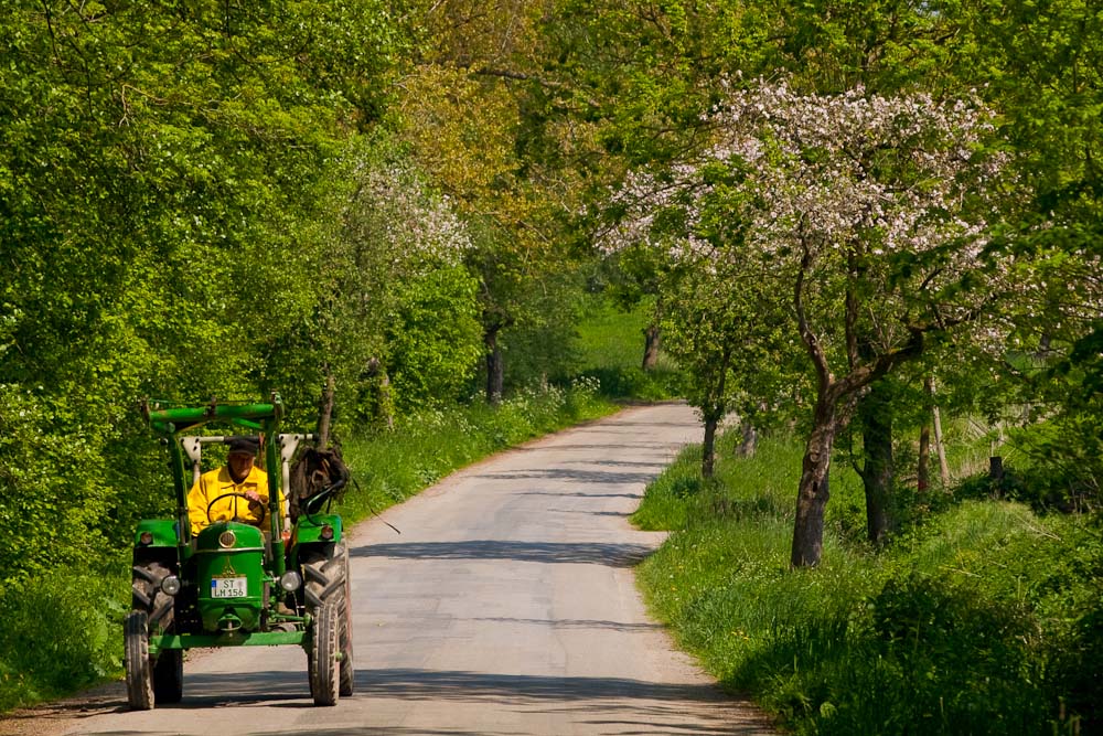 "Bauer mit gelber Jacke vor Apfelbaumblüte"