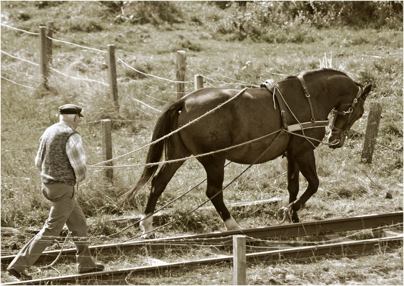 Bauer mit Pferd 2