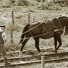 Bauer mit Pferd 2