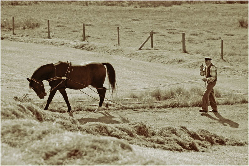 Bauer mit Pferd