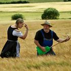 Bauer sucht Frau