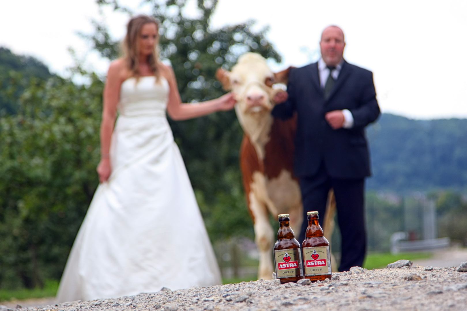 Bauer sucht Frau Teil 3: Das Hochzeitsbier.... natürlich Astra, was sonst :-)