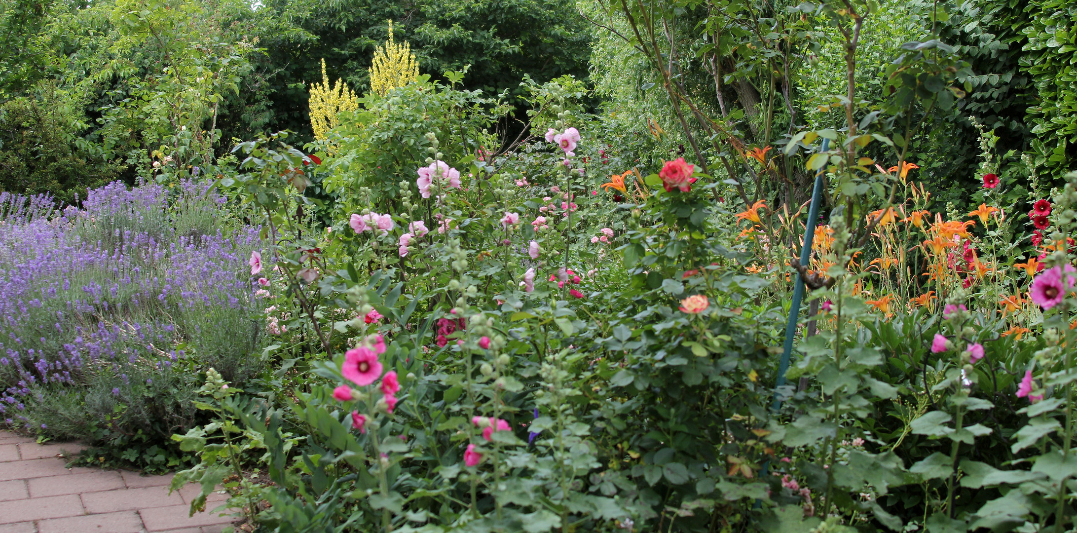 Bauergarten im Juni