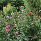 Bauergarten im Juni