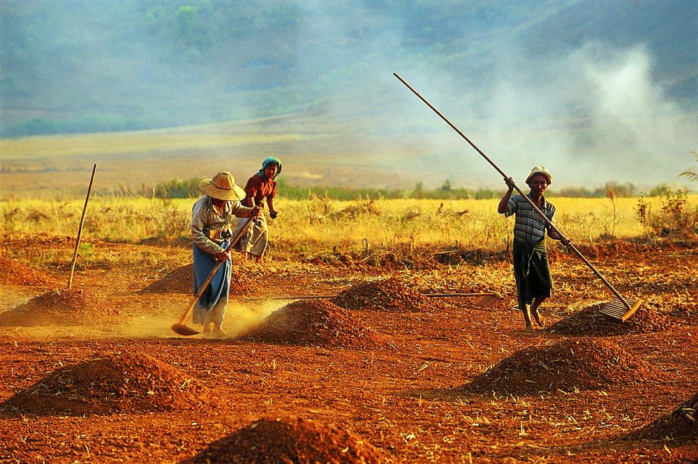 Bauern bei der Feldarbeit Foto &amp; Bild asia, myanmar
