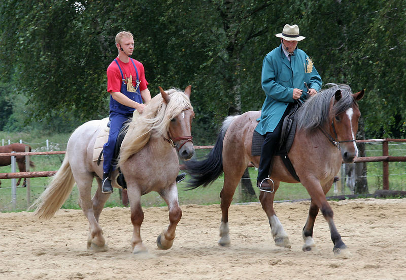 "Bauern- Dressur " :-)