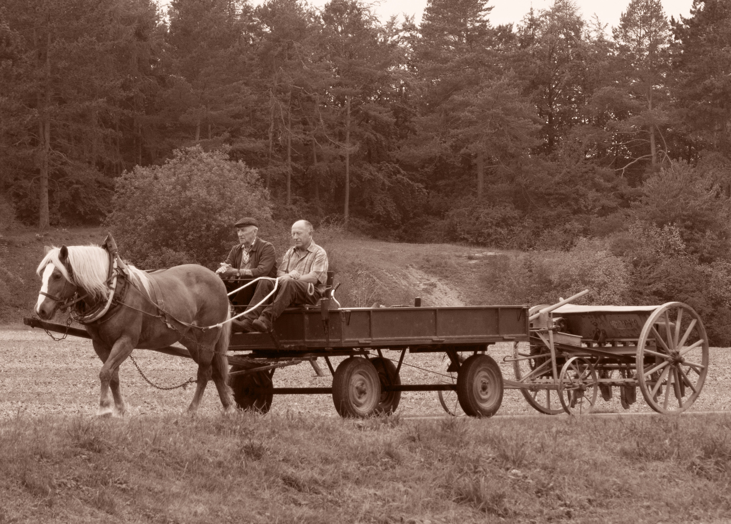 Bauern im Feld