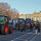 Bauern-Streik